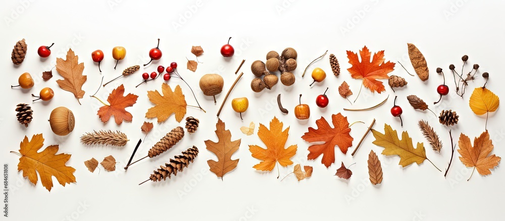 Poster autumn objects arranged on light surface for creative display copy space image