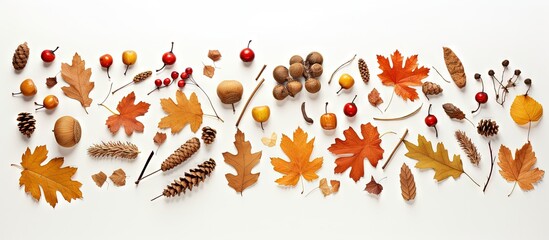 Autumn objects arranged on light surface for creative display copy space image