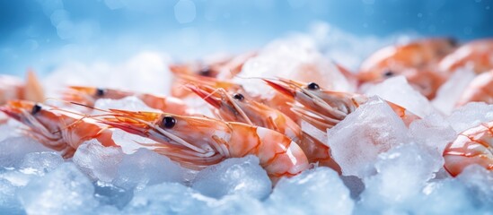 Close up of frozen shrimps dry freezed seafood delicacies with selective focus copy space image