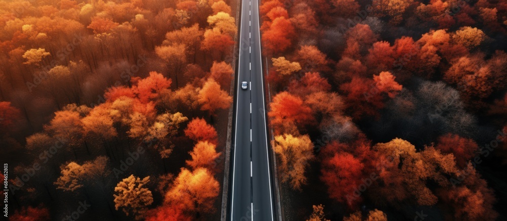 Aufkleber Autumn forest with empty road red and orange trees Aerial perspective Flying drone view copy space image