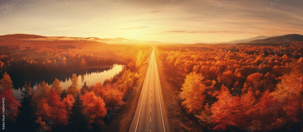 Poster Autumn forest with empty road red and orange trees Aerial perspective Flying drone view copy space image