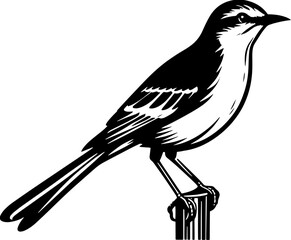 Mockingbird icon 3