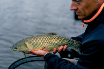 portrait of a professional fisherman holding a carp fish on the bank of a river fishing in reservoirs a good catch
