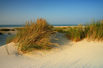Dzika plaża na wybrzeżu Morza Bałtyckiego, w Słowińskim Parku Narodowym