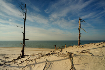 Dzika plaża na wybrzeżu Morza Bałtyckiego, w Słowińskim Parku Narodowym - obrazy, fototapety, plakaty
