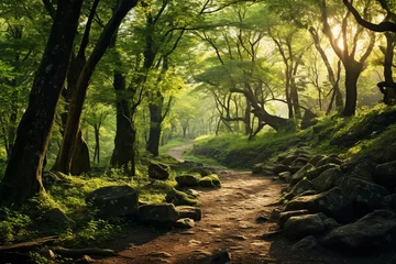 Raamstickers A winding forest trail bathed in dappled sunlight, inviting exploration into the heart of nature. © Usama