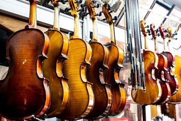 Violins are hanging in retail store to sell