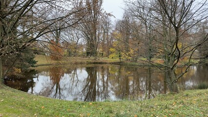 Fototapeta na wymiar Beautiful park in Strasbourg France with lake and forest