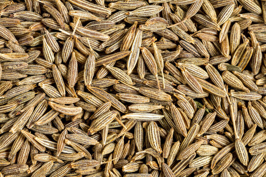 Cumin Jeera spice background. close-up view of zira. Cumin seeds from above. High angle photo of zira jeera cumin spices