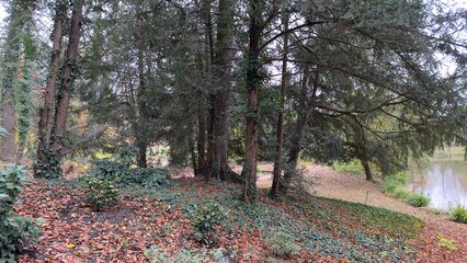 Beautiful park in Strasbourg France with lake and forest