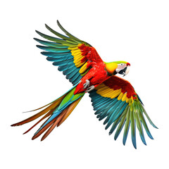 Fototapeta premium macaw flying isolated on white