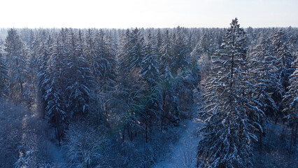 Aerial view over snowy forest near Munich. Pine tree forest in south Germany covered by ice in...