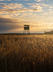 High hunter seat silhouette in dry grass. Sunrise on early winter czech landscape.