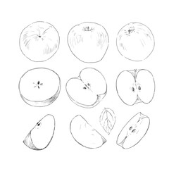 illustration of an apple and pear