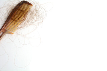 Hair loss in comb, hair fall everyday serious problem, on white background.