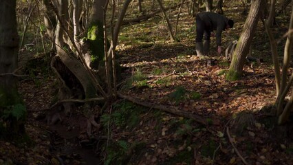 A man collecting sticks for firewood in a forest