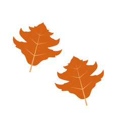 Autumn Leaves Illustration