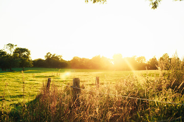 Small wooden fence seen from close up with the background of a green field on a sunset. The very...