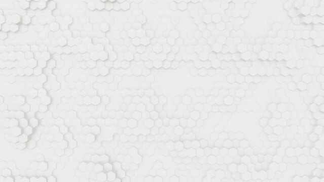 white background with hexagon animation