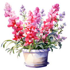 Snapdragons, Flowers, Watercolor illustrations