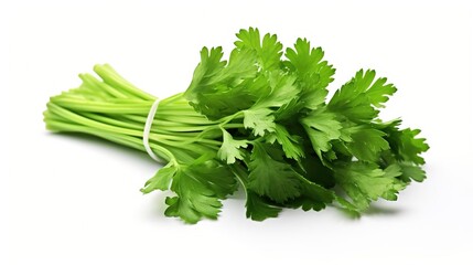 Coriander isolated on white background, Created with Generative Ai technology.