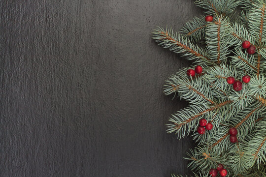 Christmas composition of fir branches and berries of viburnum on a black background . Top view with copy space.