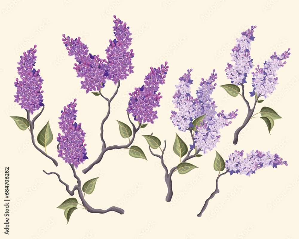 Sticker Set of high detailed blooming lilac branches