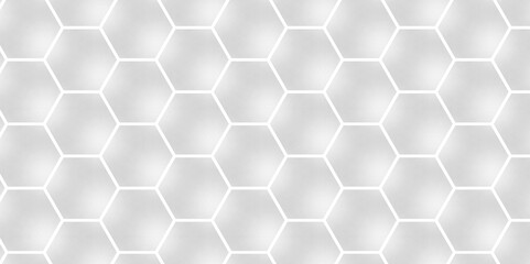 Fototapeta premium Background with hexagons White Hexagonal Background. Luxury honeycomb grid White Pattern. Vector Illustration. 3D Futuristic abstract honeycomb mosaic white background. geometric mesh cell texture.