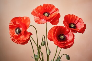Red Poppy Flowers On Pastel Background Symbolizing Remembrance. Сoncept Remembrance Day Tribute, Red Poppies, Pastel Background, Symbolic Flowers