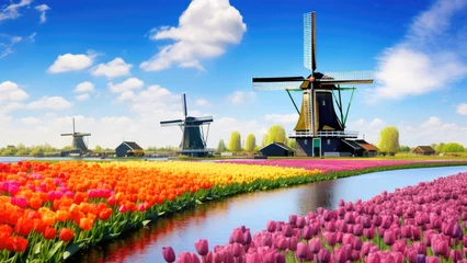 Gordijnen Traditional Dutch windmill with blooming colorful tulip field in Netherlands Holland , Europe © Lyn Lyn