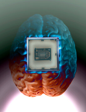 Human brain anatomical model with CPU processor microchip