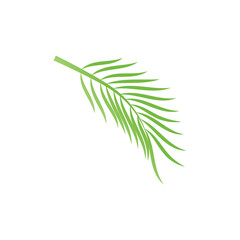 Fototapeta premium Leaf palm logo vector template symbol and design