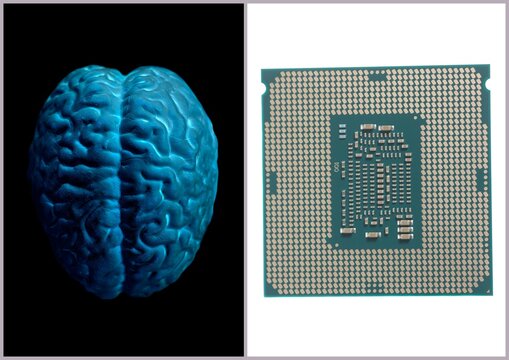 Human brain anatomical model with CPU processor microchip