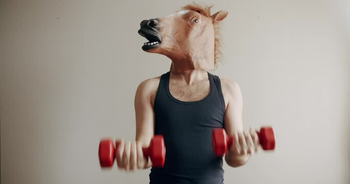 Funny man with horse mask doing exercise with weights for hand training on the white background at home. Comical fitness at home. Concept of Funny Health and Fitness. Humorous stretches.