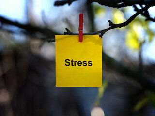 A yellow paper note with the word Stress on it attached to a tree branch with a clothes pin. Close up.