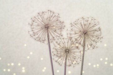 Dandelions shaped like fireworks with blurred lights for Christmas and New Year's theme on grey background