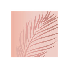 Leaf palm logo vector template symbol and design