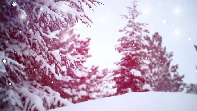 winter snow, tree christmas