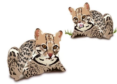Cute Ocelot Vector Illustration &ndash; Tropical Wild Cat in SVG Format