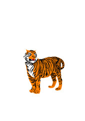 Obraz premium descargar vectores de tigre
