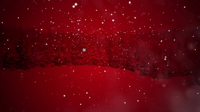 winter snow, tree christmas