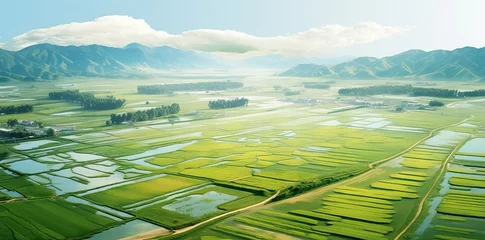 Schilderijen op glas Paddy fields that have started to turn yellow, taken from an aerial view. AI generated image © Or