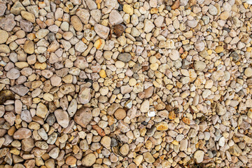 Chão da praia repleto de rochas, pedras, pedregulhos e conchas