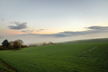 Herbstliche Nebellandschaft