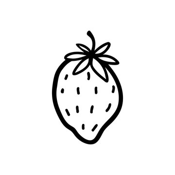 Vector single image of strawberry in doodle style. Single isolated image on a white background.