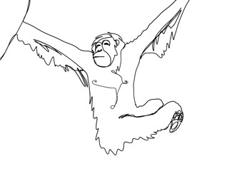 hanging orangutan single line art ink © Soaps