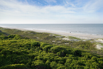 Beach and dunes with protective greenery barrier on the Atlantic Ocean in Oak Island North Carolina