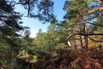 Denecourt blue path number 4 in the Saint-Germain rock