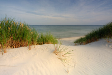 Dzika plaża na wybrzeżu Morza Bałtyckiego, Czołpino, Polska
