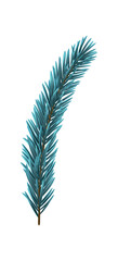 Blue Christmas Fir Branch
